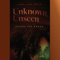 Unknown__Unseen-Under_the_Radar